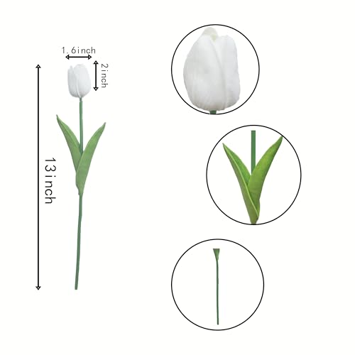 IPLNTS 20PCS White Artificial Flower Tulips PU Real Touch Tulips for Home Wedding Decoration Brides Hand Holding Bouquet Artificial Flower Decoration (Type-White)