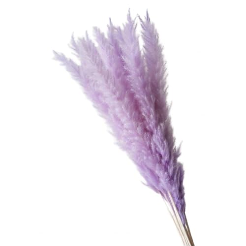 Pampas Grass Large Home Decor Elegant Artificial Pampas Grass miniatura 1