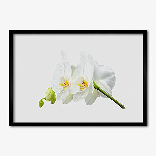 Affiche encadrée 70x50 cm orchidée blanche cadre photo mural salon Tulup