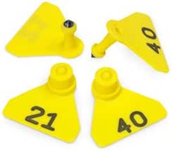 Amazon.com: Allflex Numbered (21-40) Sheep Mini Tags - Yellow - C31217 ...