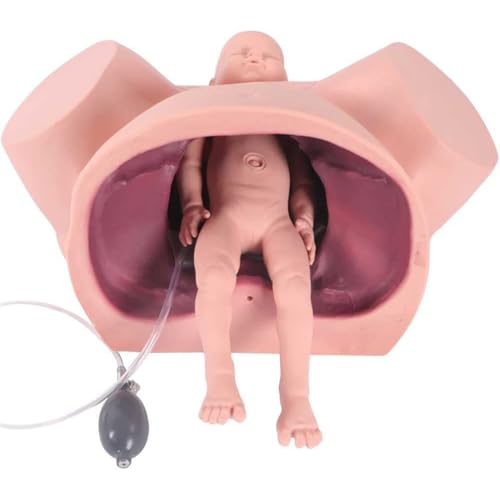 Modelo de demostración de simulador de nacimiento para entrenamiento avanzado de partería y educación de enfermería en obstetricia y ginecología