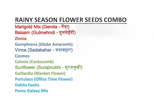 Image of Low Maintenance Hybrid Flower Seeds Combo Pack- All Year Flower Seeds Supply (12 VARIETIES RAINY SEASON COMBO)