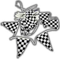 Quinn Flags 100' Checkered 4-Mil Polyethylene 12x18 Pennant String Brand