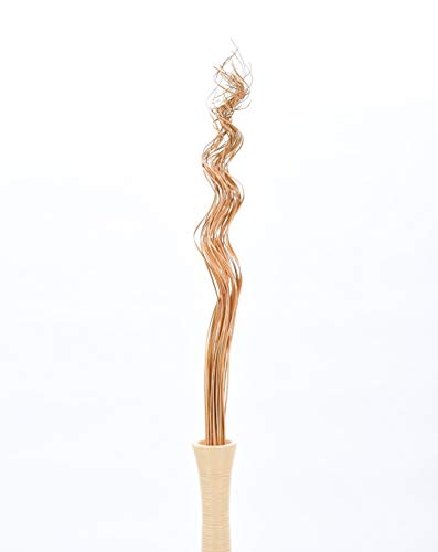 Image of Leewadee Tall Vase Filler, Wavy Palm Leaves - 2 Bunches of Colored Curly Twigs for Floor Vases, Dried Arrangements for for Vintage Or Modern House Decor, 39 inches, Ecru