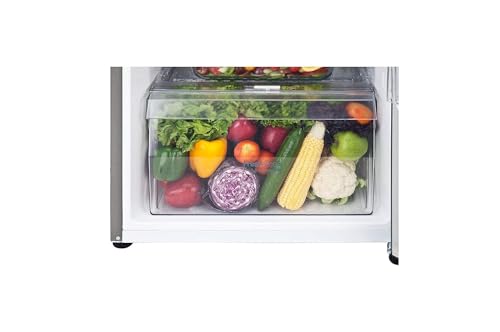 Image of LG 242 L 2 Star Frost-Free Smart Inverter Double Door Refrigerator (2024 Model, GL-N292BDSY, Dazzle Steel, Smart Connect & Multi Air Flow) (Dazzle Steel)