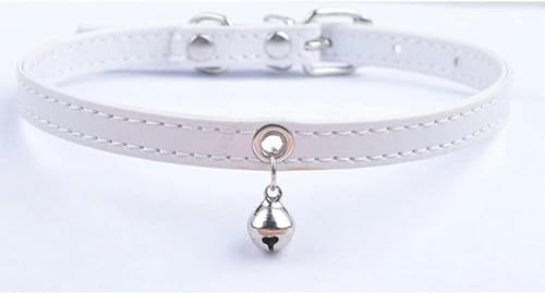 Collier pour petits chiens avec clochette, idéal balade