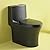 Abruzzo Elongated One Piece Toilet, Dual Flush 1.1/1.6 GPF Toilet with Comfortable Seat Height, Powerful & Quiet Modern Toilet for Bathroom?Matt Black