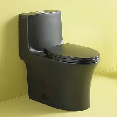 Abruzzo Elongated One Piece Toilet, Dual Flush 1.1/1.6 GPF Toilet with Comfortable Seat Height, Powerful & Quiet Modern Toilet for Bathroom?Matt Black