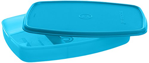 Signoraware Slim Compartment Lunch Box, Bpa Free Plastic, Microwave Safe Food Grade Tiffin Boxes for Office School, Leak Proof Air Tight Compact Dabba (610ml, Square, Blue, 2 Section Storage)