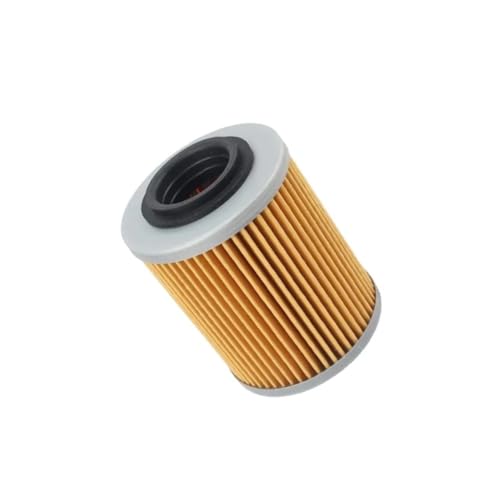Filtre à huile moto CFMoto pièces de rechange moteur 0800-011300-00030