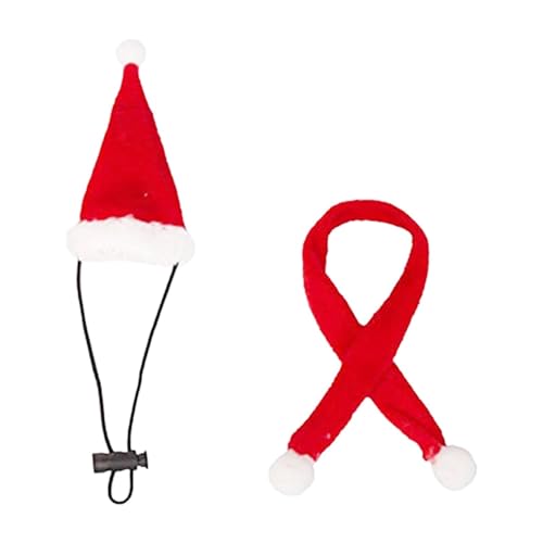 MYCENSE Chapéu de Papai Noel com Dragão Barbudo E Cachecol, Fantasia de Natal para Lagartos, Répteis