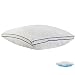 FOMI Premium Large Water Sleeping Pillow Adjustable and Supportive Waterbase Pillow for Preferred Firmness | Orthopedic Comfort Design for Neck Pain Relief | (26" x 17")