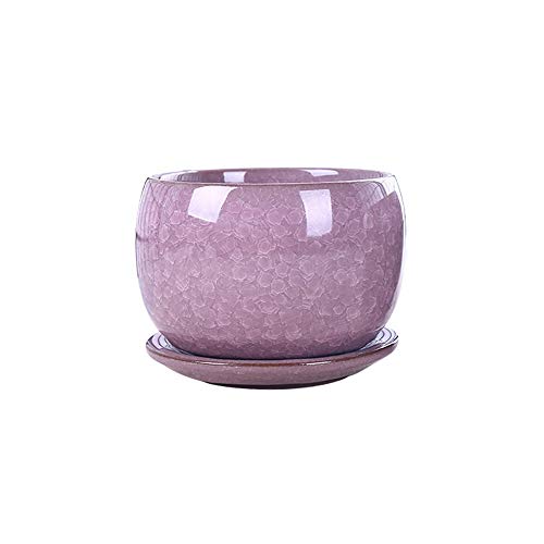 Pot de fleur succulente YRYRYW en céramique pour salon et bureau lumineux