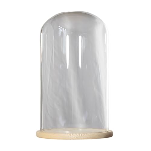 WEKONUMEX Cúpula de Cristal, Campana de Cristal con Base de Madera, 23 cm de diámetro, Altura 30-40 cm(Dia23*H30cm)