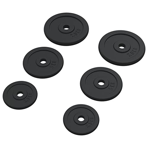 Plaques de poids fonte durable 30 kg set de 6 disques robustes pour entraînement intensif