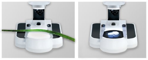 Bresser 3D Stereo Mikroskop Biolux ICD 20x mit 20x Vergrößerung für Kinder und Erwachsene zur Beobachtung von Gesteinen… – Bild 3