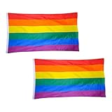 DECHOUS Regenbogenflagge Lgbt Pride Fahne 2 Stück 60 X 90cm aus Polyester für Straßenfeste und Csd Veranstaltungen