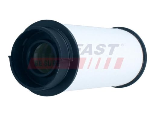 Filtre à carburant FT39302 filtre gazole Iveco Daily V VI Kasten