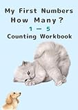 My First Numbers: How Many? 1–5 (Cat): A Simple Counting Book for Kids