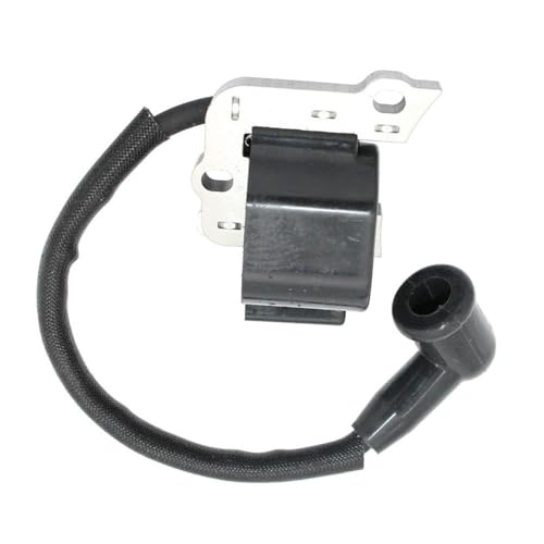 Module d'allumage 753-06763 pour réparer le démarrage difficile du CS202