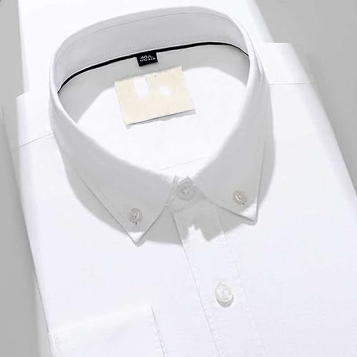 Chemise Oxford en coton doux premium coupe regular classique hommes - 4