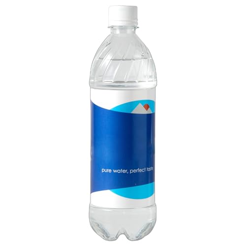 Fausse Bouteille D'eau - Bouteille D'eau Cache-coque En Toute Sécurité, Cachette Sûre Flash En Argent Secret, Cachettes Secrètes | Money Hider Pour Voyager...