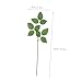 OUNONA Floral Wire Stems with Leaves 10 Pcs Artificial Rose Flower Stems for Wedding Bouquets DIY Craft Floral Arrangement Tools 12.99In