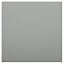 Gray / Silver