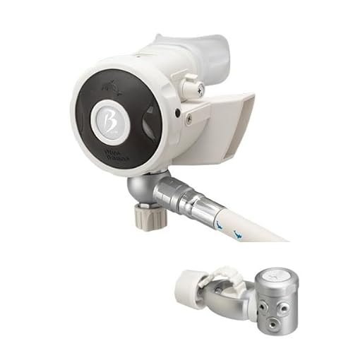 Bism r[CY WHITE BEANS 2 RB4300CW zCgr[Y 2 L[gȃM[^[ _CrO (ubN)