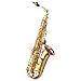 Yanagisawa / A-WO2 ヤナギサワ アルトサックス ダブルオーシリーズ ブロンズブラス ラッカー仕上
