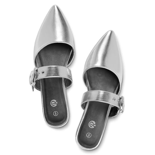 Silver pointed flats