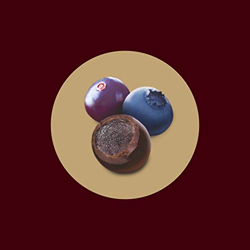 HERSHEY's Exotic Dark Blueberry & Acai Flavor|Dark Cocoa Rich Chocolates 33.3 Grams