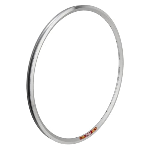 Velocity Dyad 650B Dyad Silver 36