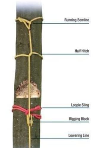 Tree Rigging Notebook