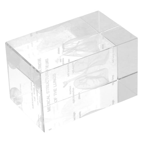 Modèle anatomique du poumon en bloc cristal transparent pour révision