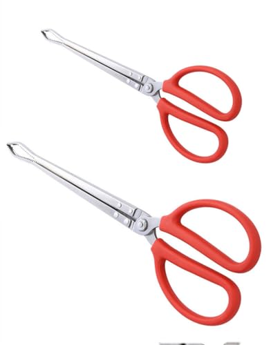 Toasis Stainless Steel Crabbing Tongs for Live Crabs Eels (Curved Tip-2pcs)