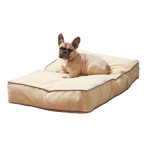 Happy Hounds Buster Hundebett, wendbar, rechteckig, Beige, Größe S (91,4 x 61 cm) Happy Hounds Buster Hundebett, wendbar, rechteckig, Beige, Größe S (91,4 x 61 cm)