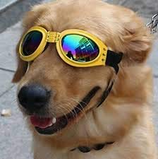 PSK Sunglass, Glamorous Eye Protection googgles Eye Wear Protection Waterproof Pet Sunglasses for Dogs with Fashion Flair for All Breeds (Blue) 3