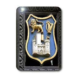 Interrupteur simple Dublin 3dRose pour remplacer vos plaques blanches