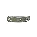 Ganzo G7531 Folding Pocket Knife High 440C Stainless Steel Blade G10 Handle with Clip Hunting Fishing Camping Outdoor EDC Knife (Green)