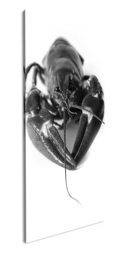 schwedische rote Krebse Panorama 120x60 cm Effekt:Schwarz/Weiss als Leinwandbild, Motiv fertig gerahmt auf Echtholzrahmen, Hochwertiger Digitaldruck mit Rahmen