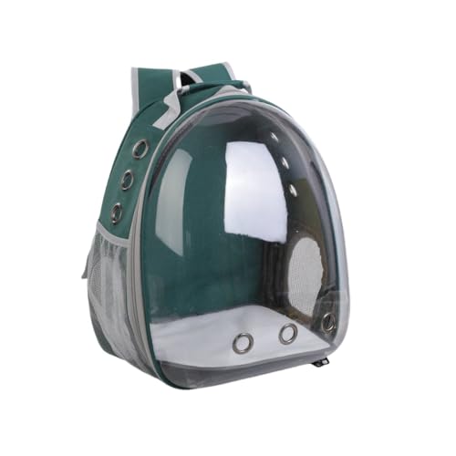 Brfveob ybgL[obO LL[ Lp FDJvZ^ bNTbN sybgobO  o ʋC e ϋv S ܂肽 pbht (ZΐF)