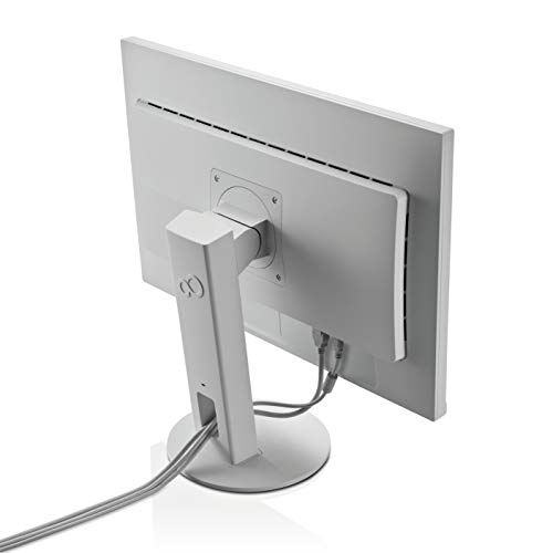Fujitsu Display B24-9 TE EU Business Linie 60,5cm 23,8Zoll Breit Display Ultra Schmaler Rand LED Hellgrau DisplayPort HDMI VGA USB