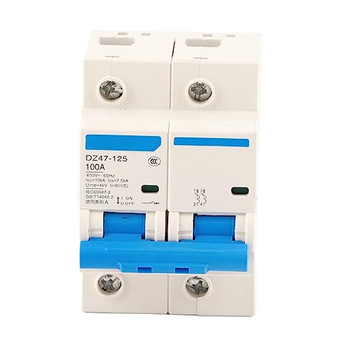 Disyuntor magnetotérmico C100A para protección de redes de bajo voltaje 6