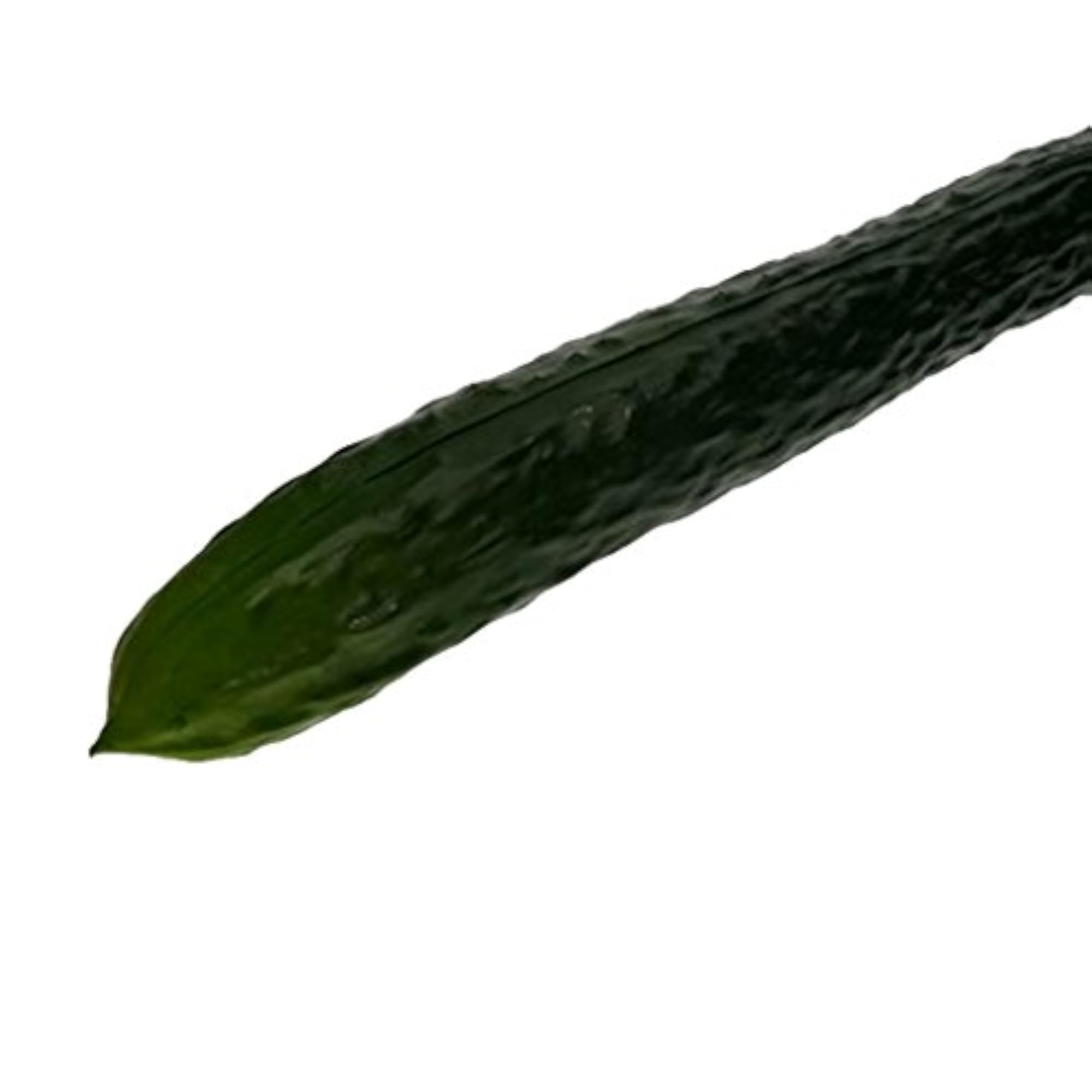 Realistic Artificial Cucumber Decorative Food