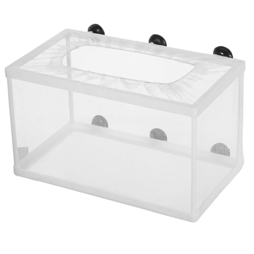 Toddmomy ^ԃlbgzՕtzp |GXet[ ptuP[X  ɐBV[Ή