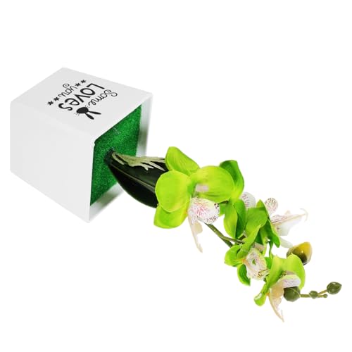 Vaguelly orquídeas Artificiales en conserva Artificial Flowers Fake Plants bonsais Artificiales Planta Artificial Flor Falsa en Maceta orquídea Polilla Artificial en Maceta el plastico