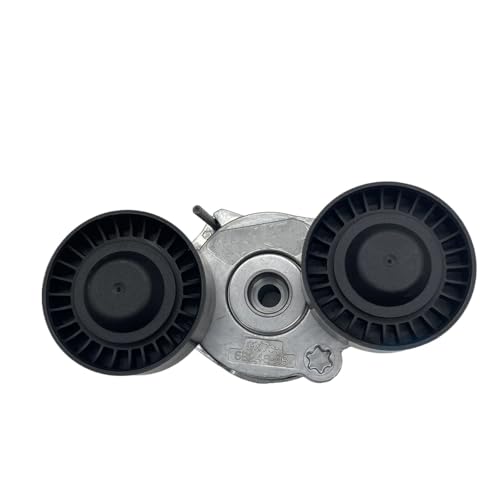 Poulie de tension T2H38134 haute résistance pour Rover Sport et Range Rover