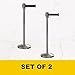 Montour Line M530 Set of 2 Retractable Belt Barrier Stanchion, Sloped Base, Satin Stainless Steel Post (9 ft Purple Belt)