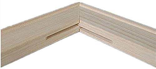 DIY Solid Wood Canvas Frame Kit 16 x20 Inch for Oil Painting & Wall Art Wooden Art Frames for Paintings & Canvases - Easy to Build Canvas Stretching System - Framed Picture Accessories (16\'\'20\'\')